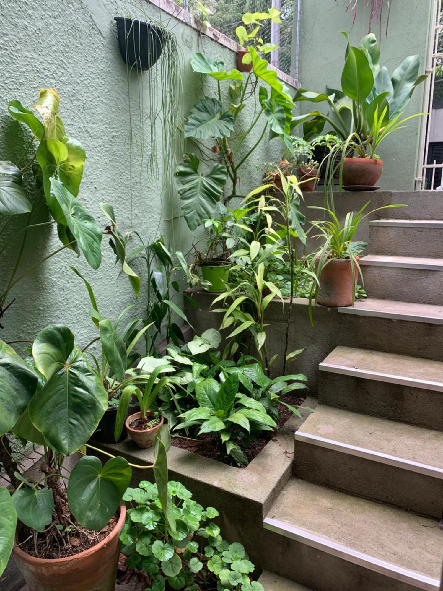 Casa Charmosa E Artistica No Coracao De Apartamento São Paulo